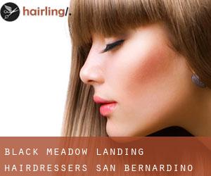 Black Meadow Landing hairdressers (San Bernardino County, California)