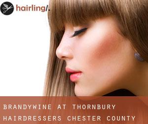 Brandywine at Thornbury hairdressers (Chester County, Pennsylvania)