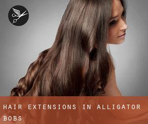 Hair Extensions in Alligator Bobs
