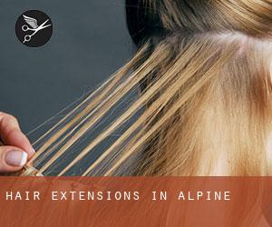 Hair Extensions in Alpine