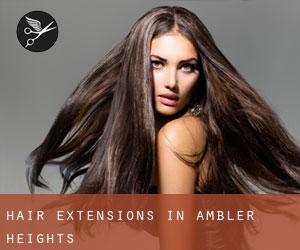 Hair Extensions in Ambler Heights