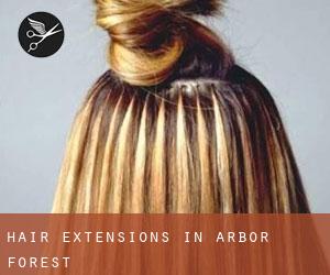 Hair Extensions in Arbor Forest