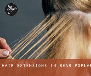 Hair Extensions in Bear Poplar