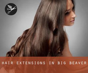 Hair Extensions in Big Beaver