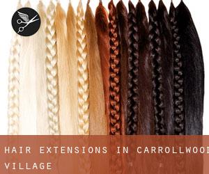 Hair Extensions in Carrollwood Village