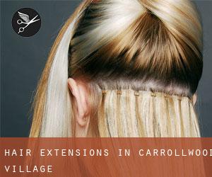 Hair Extensions in Carrollwood Village