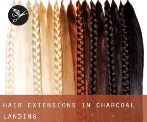 Hair Extensions in Charcoal Landing