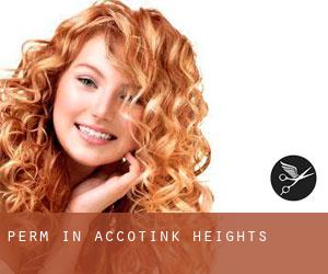 Perm in Accotink Heights
