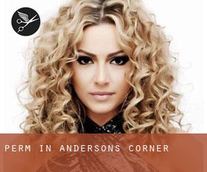 Perm in Andersons Corner