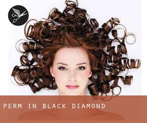 Perm in Black Diamond
