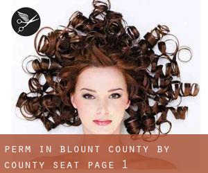 Perm in Blount County by county seat - page 1