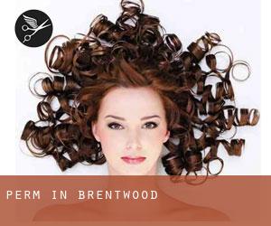 Perm in Brentwood