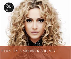 Perm in Cabarrus County Perm in Cabarrus County