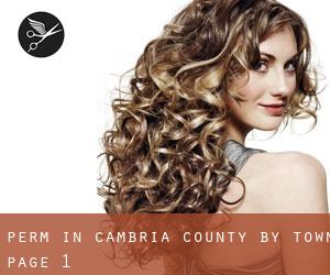 Perm in Cambria County by town - page 1