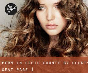 Perm in Cecil County by county seat - page 1