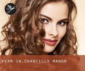 Perm in Chantilly Manor