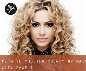 Perm in Chester County by main city - page 1