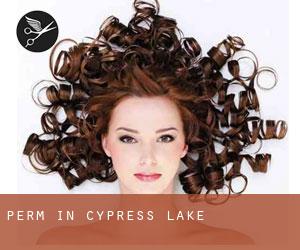 Perm in Cypress Lake