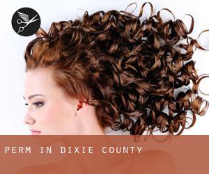 Perm in Dixie County