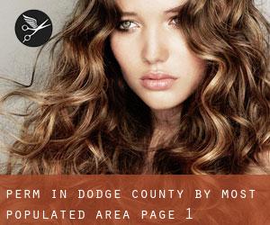 Perm in Dodge County by most populated area - page 1