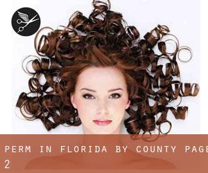 Perm in Florida by County - page 2