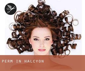 Perm in Halcyon