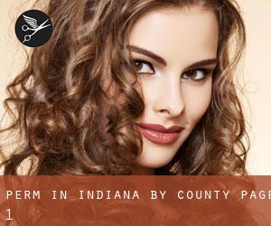 Perm in Indiana by County - page 1