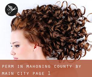 Perm in Mahoning County by main city - page 1