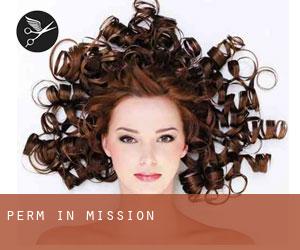Perm in Mission