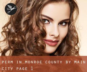 Perm in Monroe County by main city - page 1