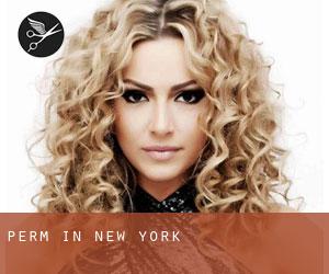 Perm in New York Perm in New York