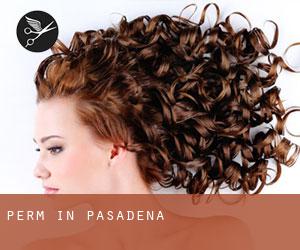 Perm in Pasadena Perm in Pasadena
