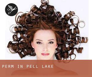 Perm in Pell Lake