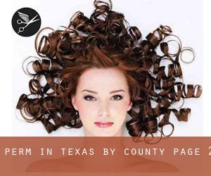 Perm in Texas by County - page 2