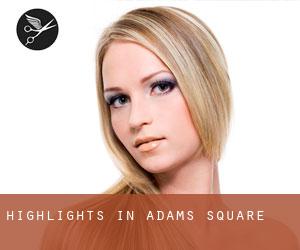 Highlights in Adams Square
