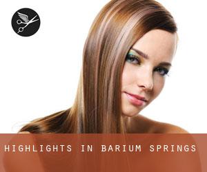 Highlights in Barium Springs