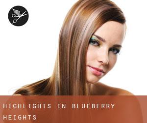 Highlights in Blueberry Heights
