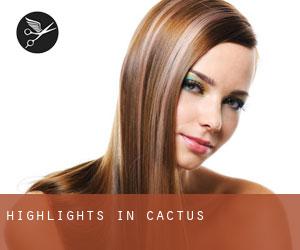 Highlights in Cactus