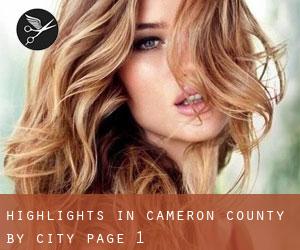 Highlights in Cameron County by city - page 1