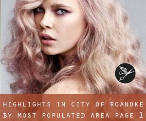 Highlights in City of Roanoke by most populated area - page 1