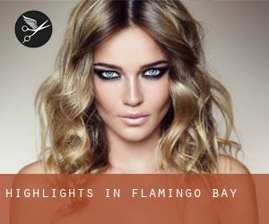 Highlights in Flamingo Bay