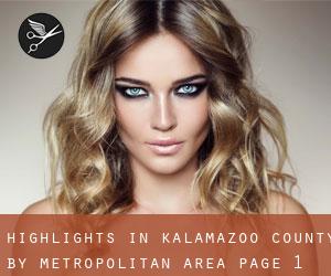 Highlights in Kalamazoo County by metropolitan area - page 1