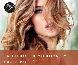 Highlights in Michigan by County - page 1