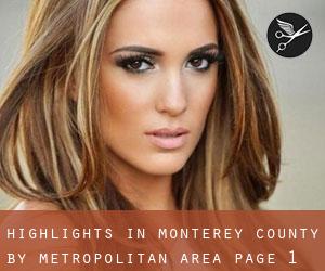 Highlights in Monterey County by metropolitan area - page 1