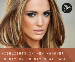 Highlights in New Hanover County by county seat - page 1