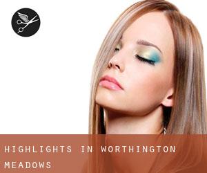 Highlights in Worthington Meadows