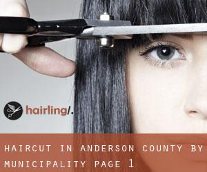 Haircut in Anderson County by municipality - page 1