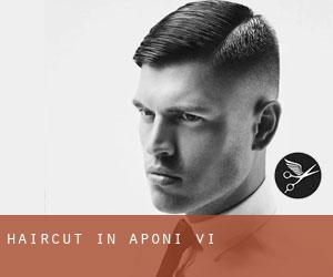 Haircut in Aponi-vi