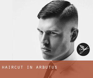 Haircut in Arbutus