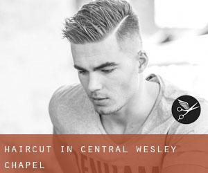 Haircut in Central Wesley Chapel